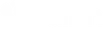 Valion Logo